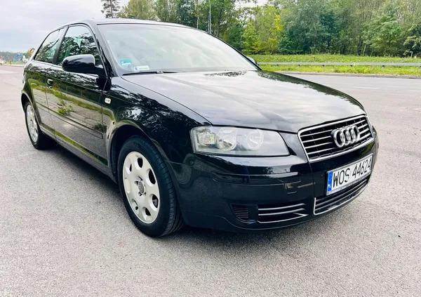 samochody osobowe Audi A3 cena 14000 przebieg: 296014, rok produkcji 2004 z Olsztyn